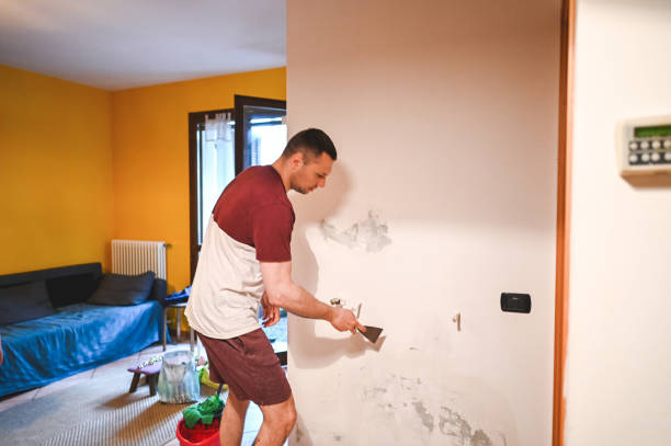 Best Preventive Mold Services in Montgomery, PA