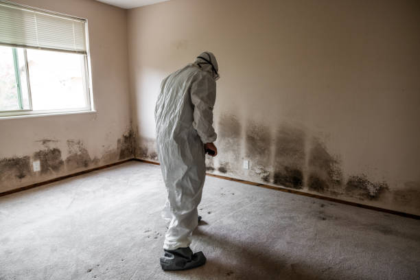 Best HVAC Mold Remediation in Montgomery, PA